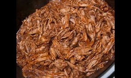 Cooking 101:Barbecue Pulled Pork ft Power Pressure Cooker XL